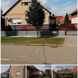 Vida Vendeghaz , Hajdúszoboszló Węgry